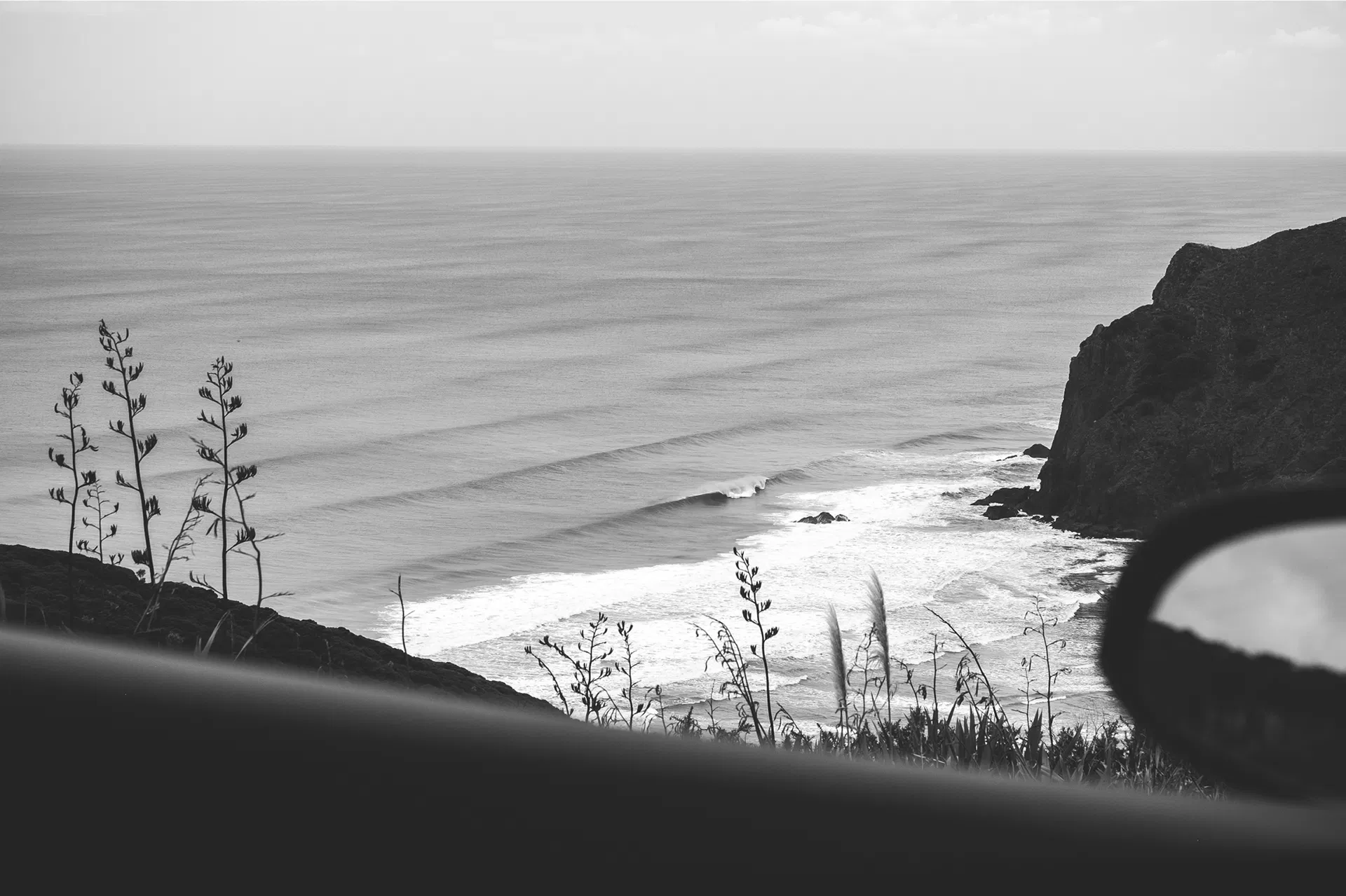 Fuman Blank Brand V4 5